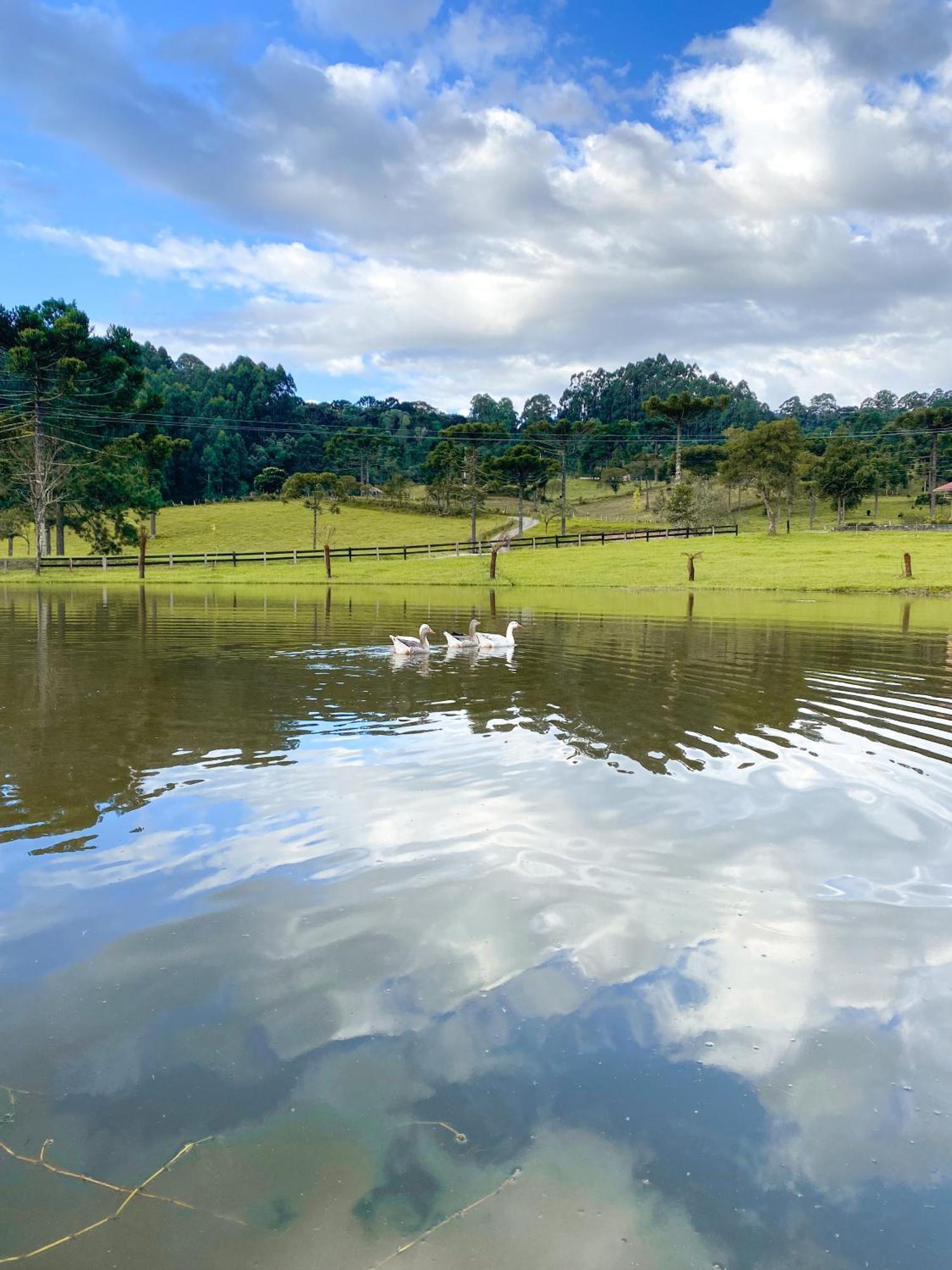 Pousada Rural Pavao - Suites E Chales อูรูบิซิ ภายนอก รูปภาพ